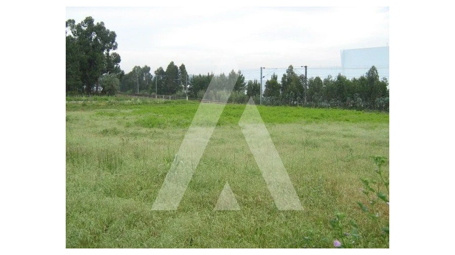 Terreno para Venda em Oiã Foto 4