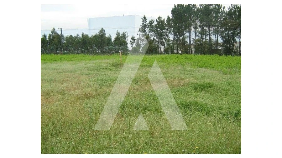 Terreno para Venda em Oiã Foto 2