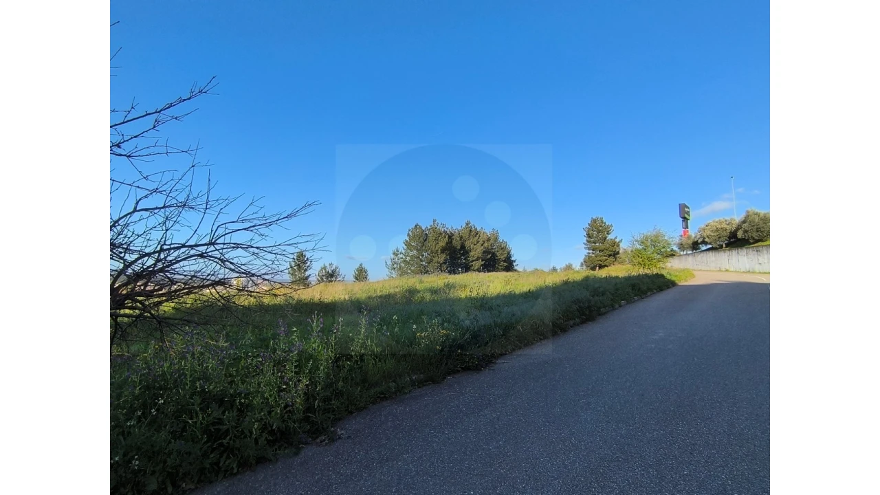Terreno Comércio / Armazém para Venda em Abrantes (São Vicente e São João) e Alferrarede Foto 3
