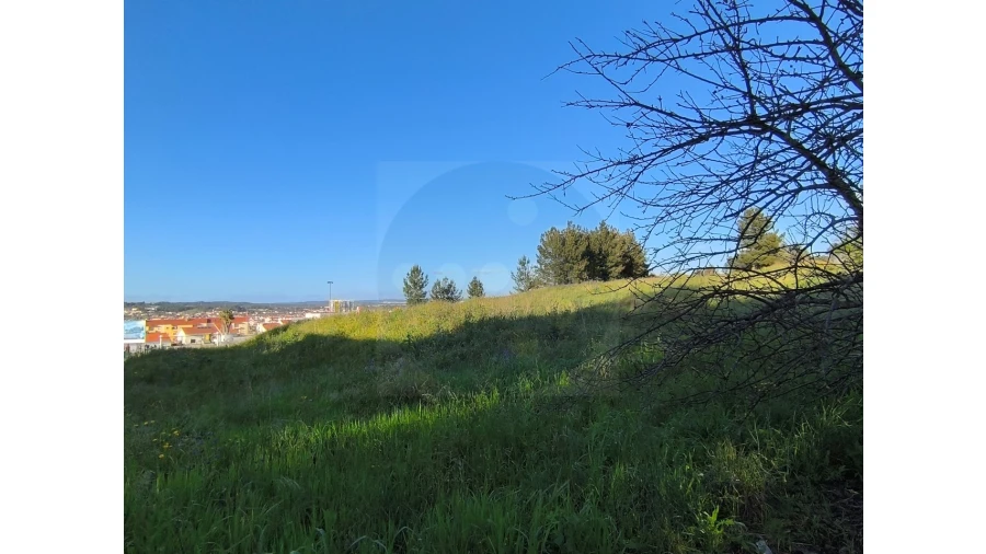 Terreno Comércio / Armazém para Venda em Abrantes (São Vicente e São João) e Alferrarede Foto 2