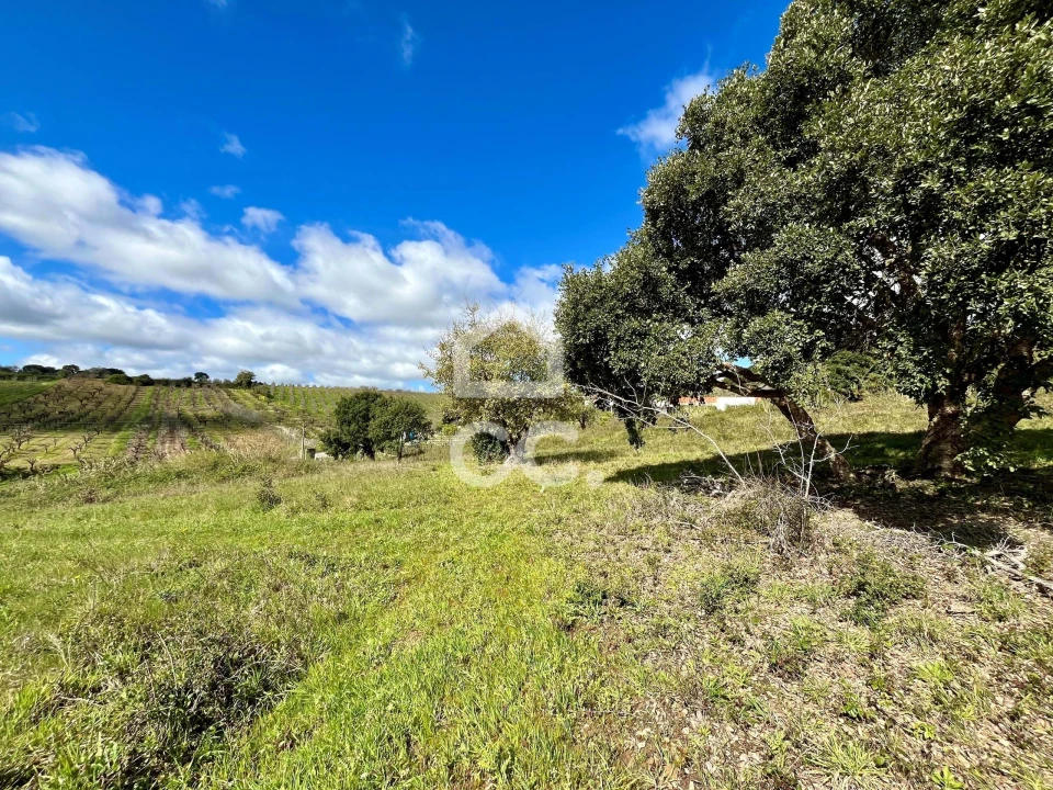 Terreno para Venda em Roliça Foto 5