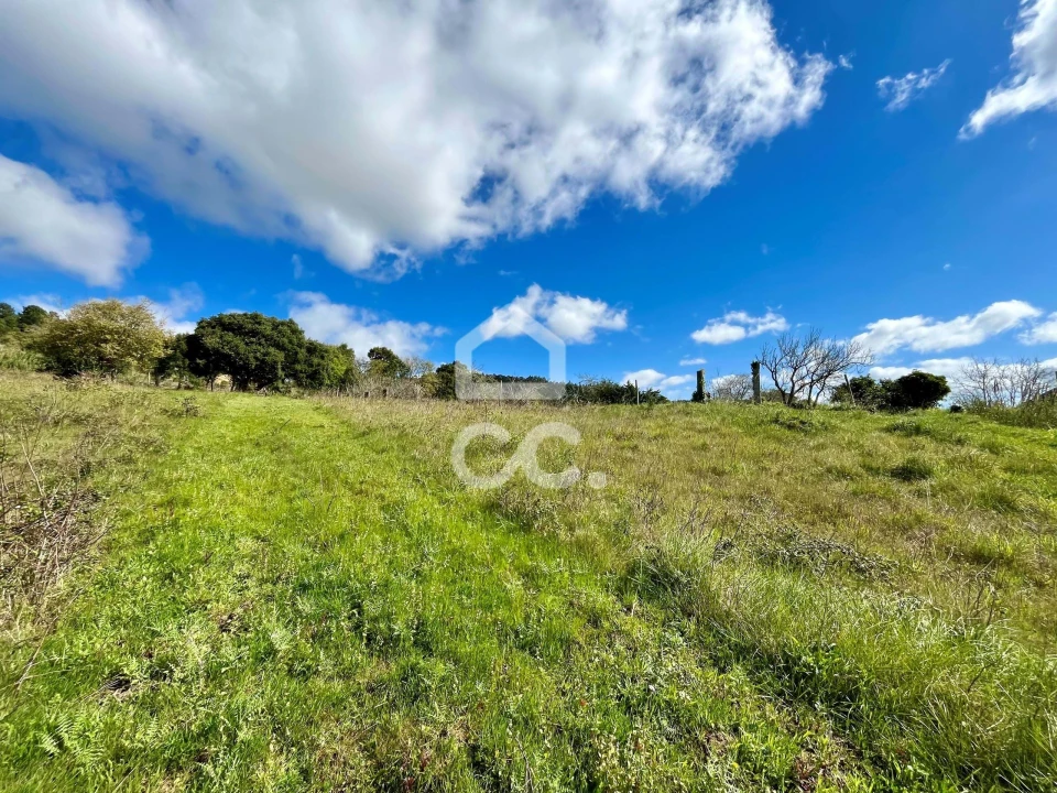Terreno para Venda em Roliça Foto 25