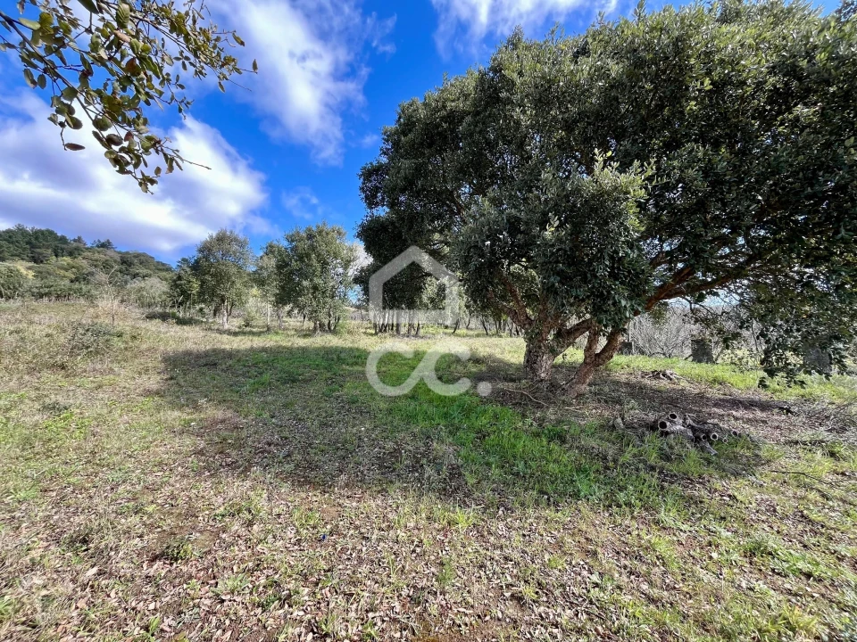 Terreno para Venda em Roliça Foto 23