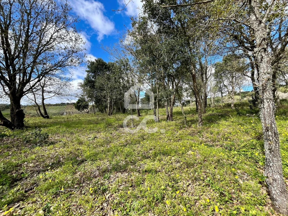 Terreno para Venda em Roliça Foto 15