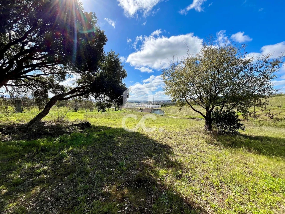 Terreno para Venda em Roliça Foto 2