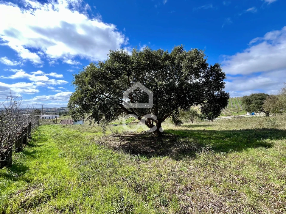 Terreno para Venda em Roliça Foto 1