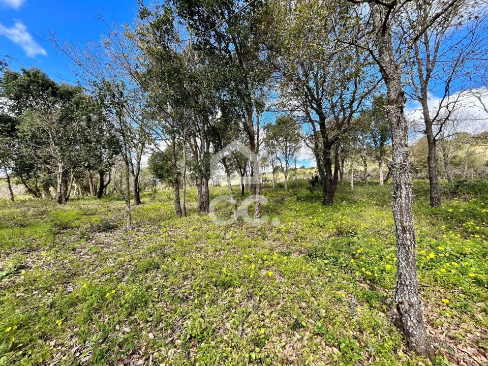 Terreno para Venda em Roliça Foto 17