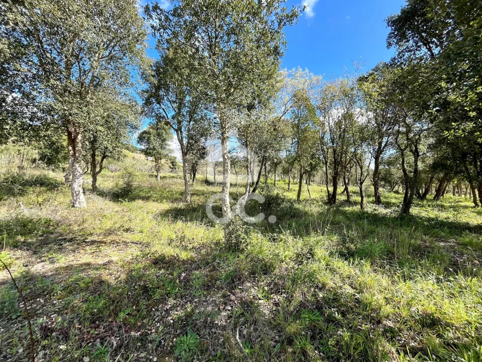 Terreno para Venda em Roliça Foto 10