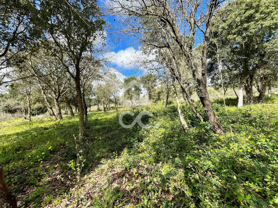 Terreno para Venda em Roliça Foto 20