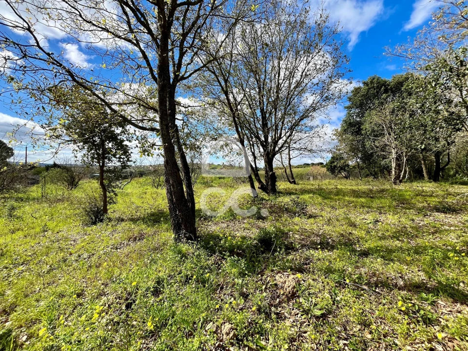 Terreno para Venda em Roliça Foto 16