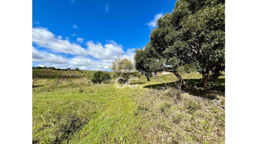 Terreno para Venda em Roliça Foto 5