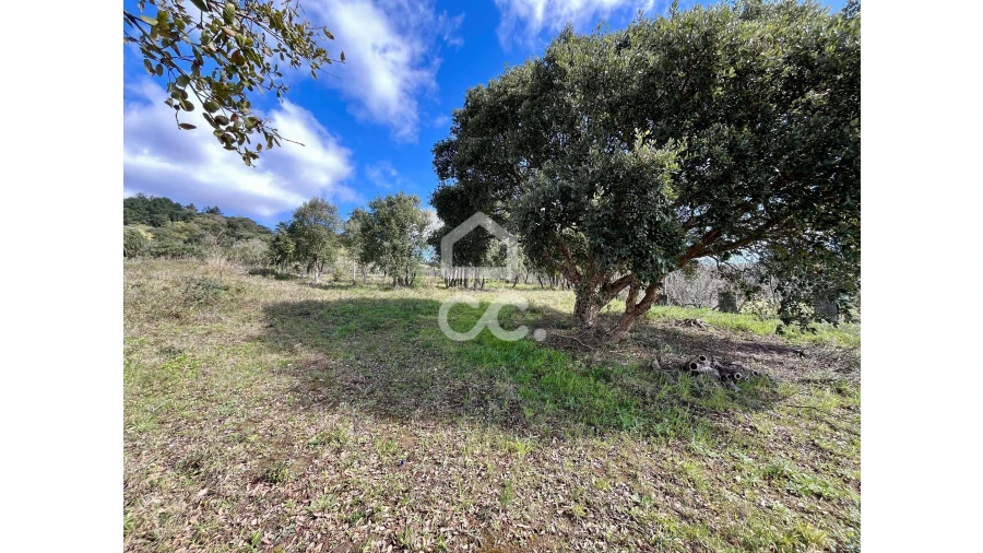 Terreno para Venda em Roliça Foto 23