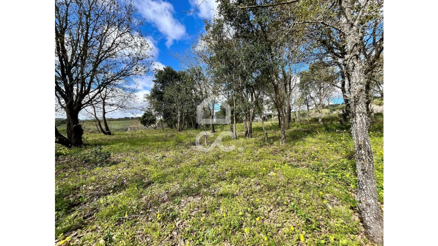 Terreno para Venda em Roliça Foto 15