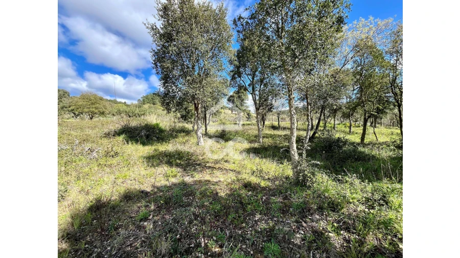 Terreno para Venda em Roliça Foto 11