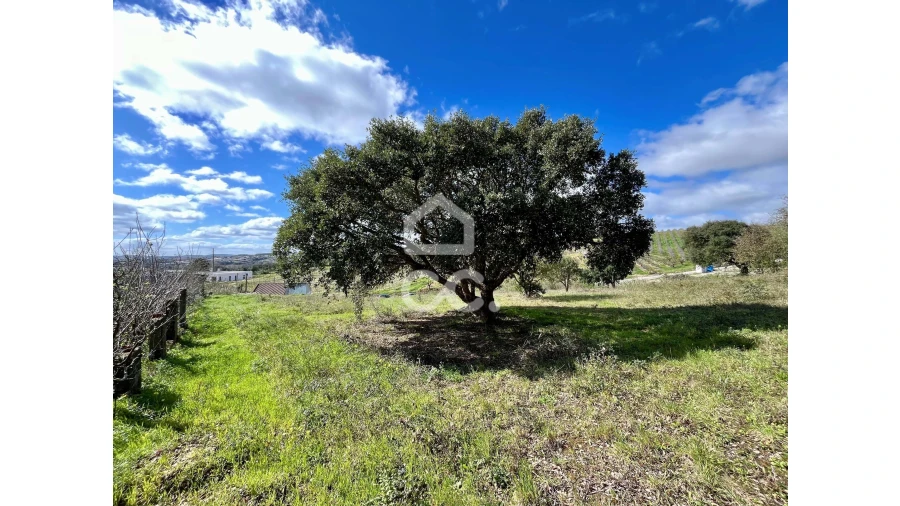 Terreno para Venda em Roliça Foto 1