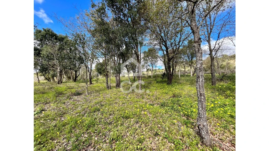 Terreno para Venda em Roliça Foto 17