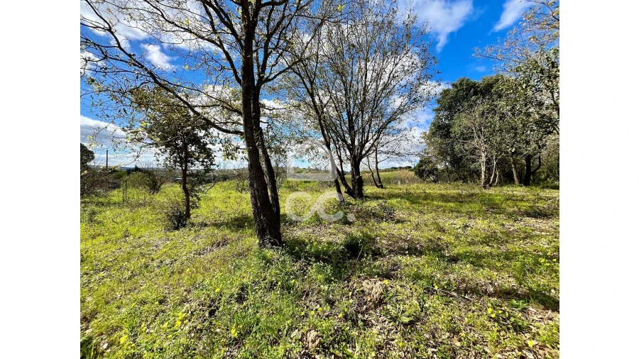 Terreno para Venda em Roliça Foto 16