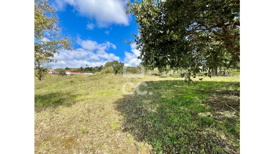 Terreno para Venda em Roliça Foto 24
