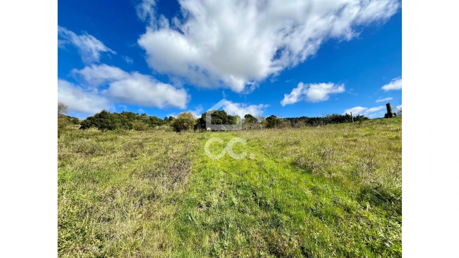 Terreno para Venda em Roliça Foto 26