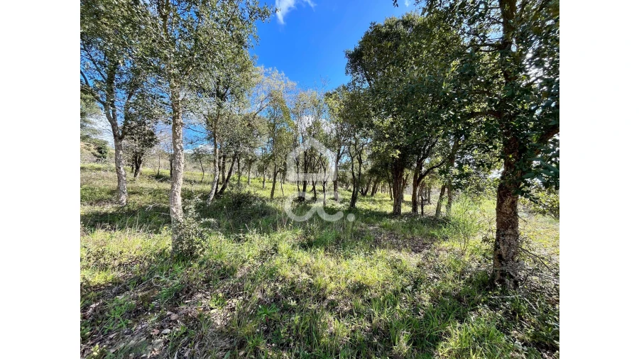 Terreno para Venda em Roliça Foto 9