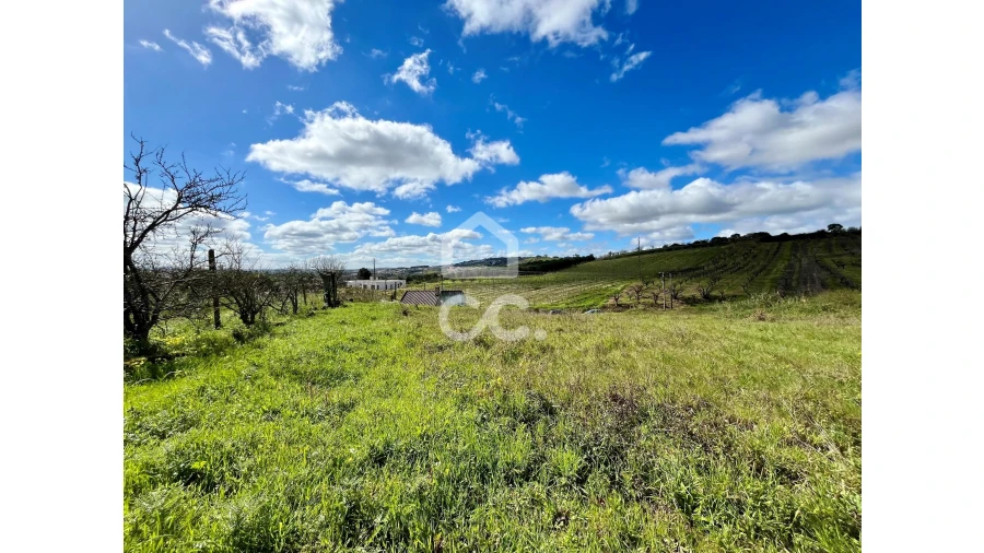 Terreno para Venda em Roliça Foto 3