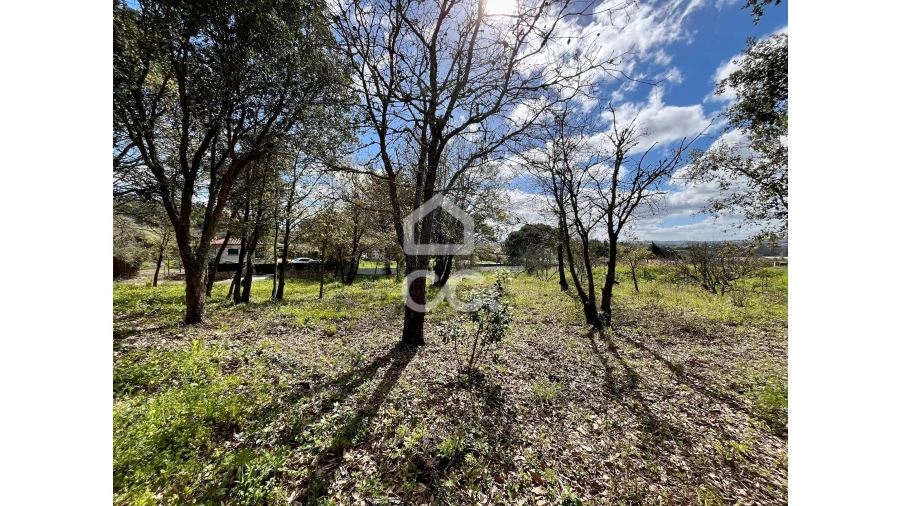Terreno para Venda em Roliça Foto 19