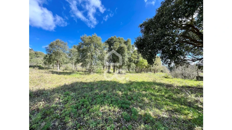 Terreno para Venda em Roliça Foto 7