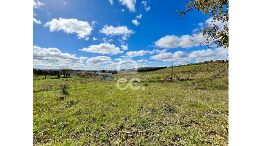 Terreno para Venda em Roliça Foto 6