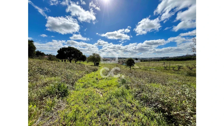 Terreno para Venda em Roliça Foto 21
