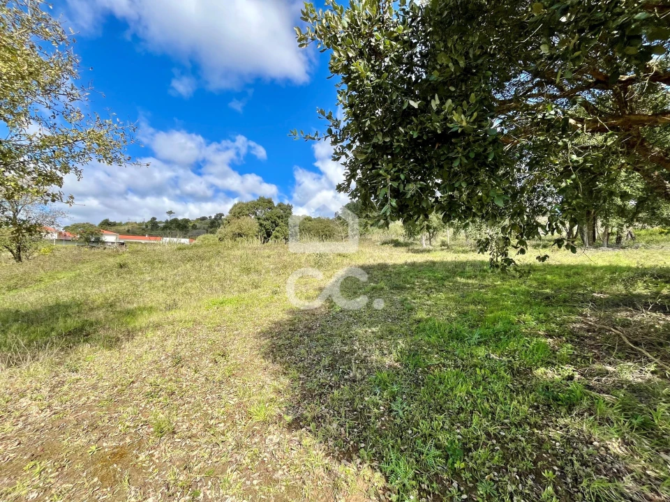 Terreno para Venda em Roliça Foto 24