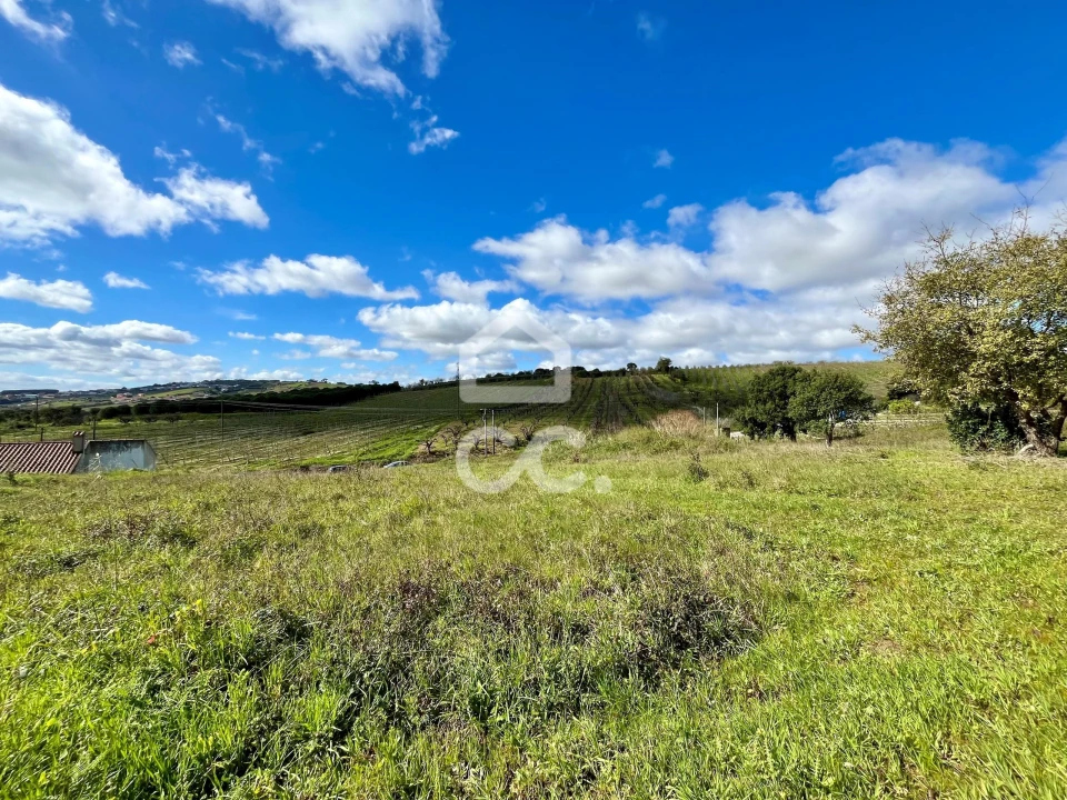 Terreno para Venda em Roliça Foto 4
