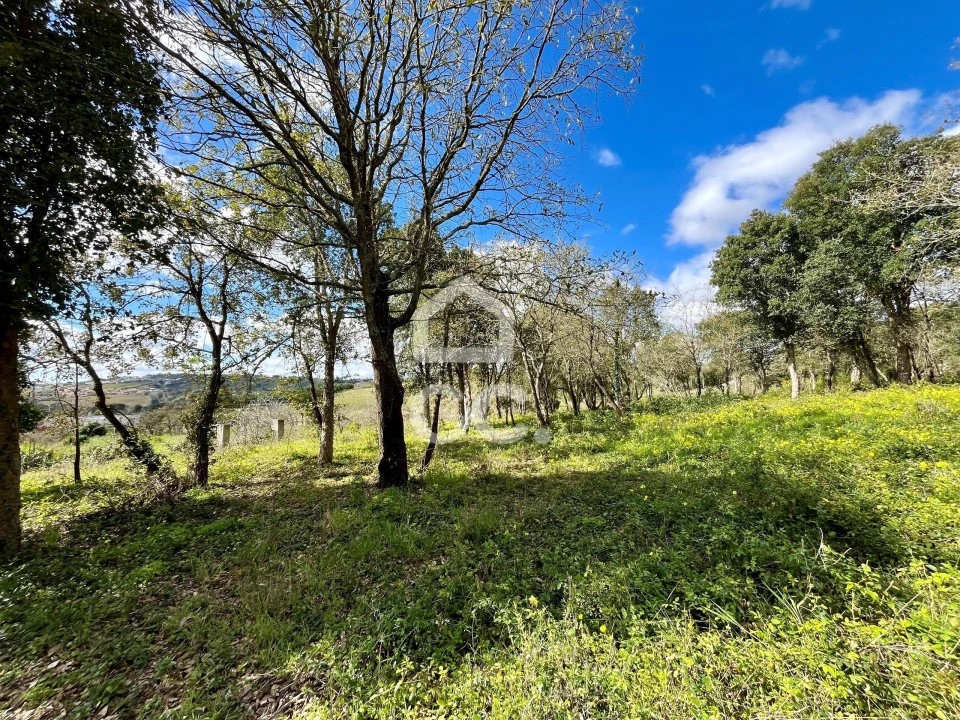 Terreno para Venda em Roliça Foto 18