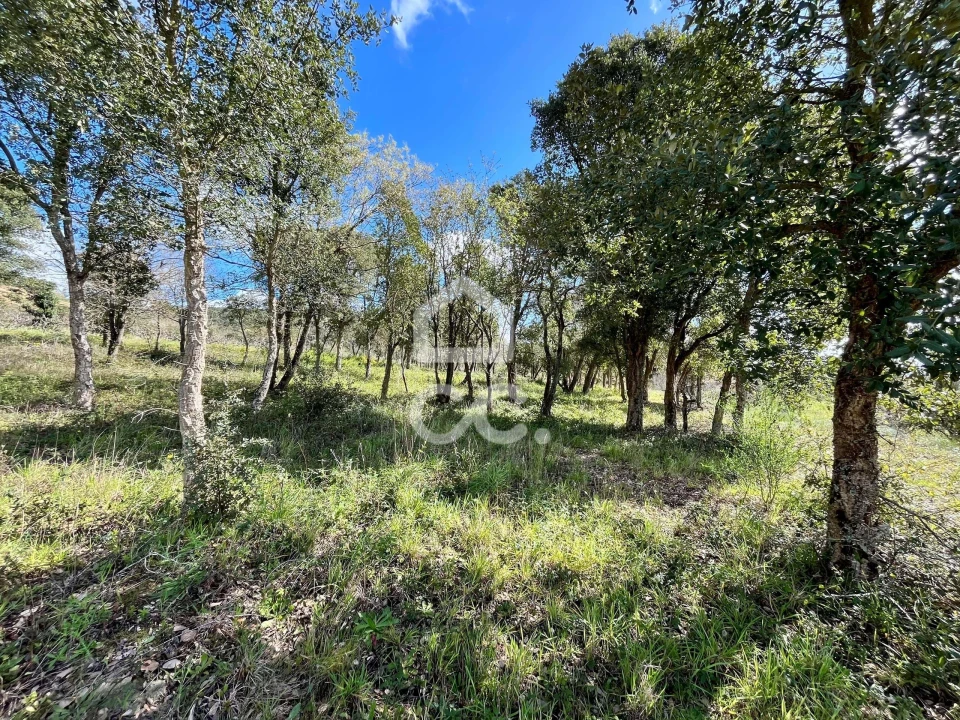 Terreno para Venda em Roliça Foto 9