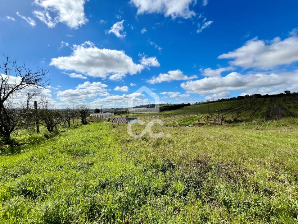 Terreno para Venda em Roliça Foto 3