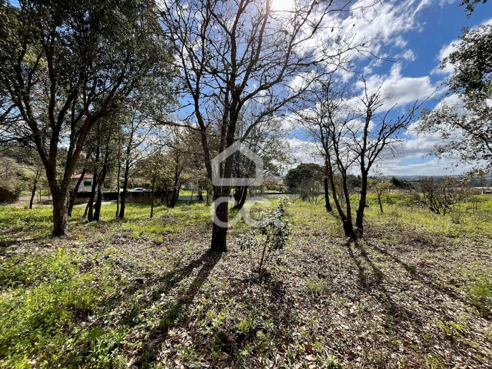 Terreno para Venda em Roliça Foto 19