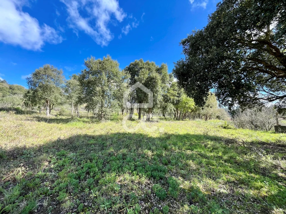 Terreno para Venda em Roliça Foto 7