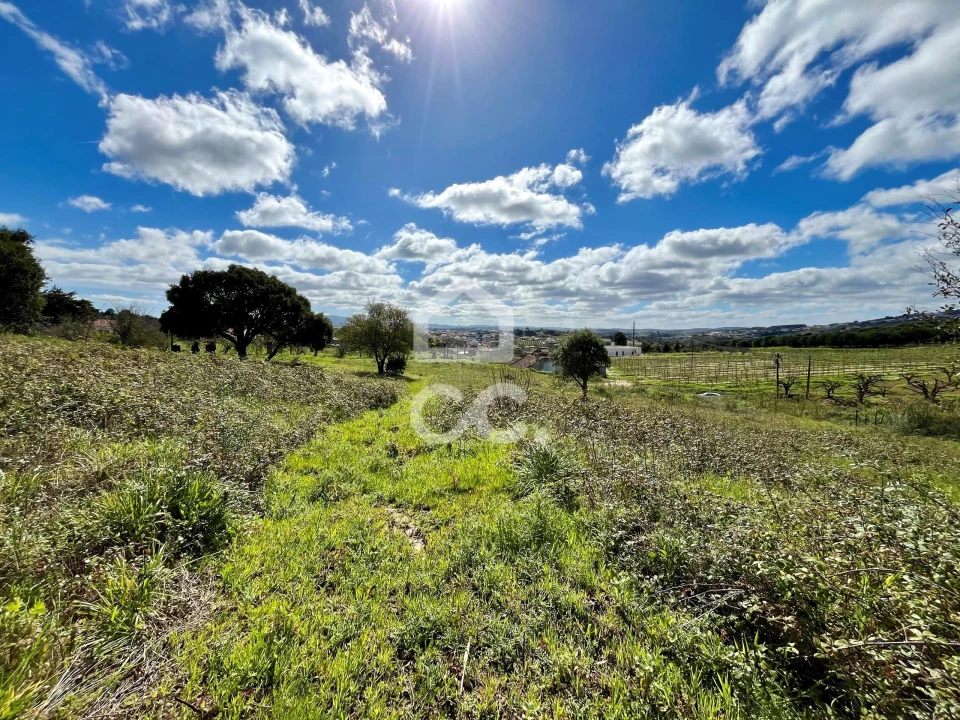 Terreno para Venda em Roliça Foto 21