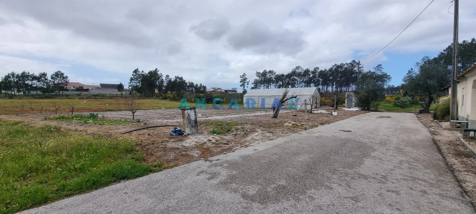 Terreno para Venda em Monte Redondo e Carreira Foto 7