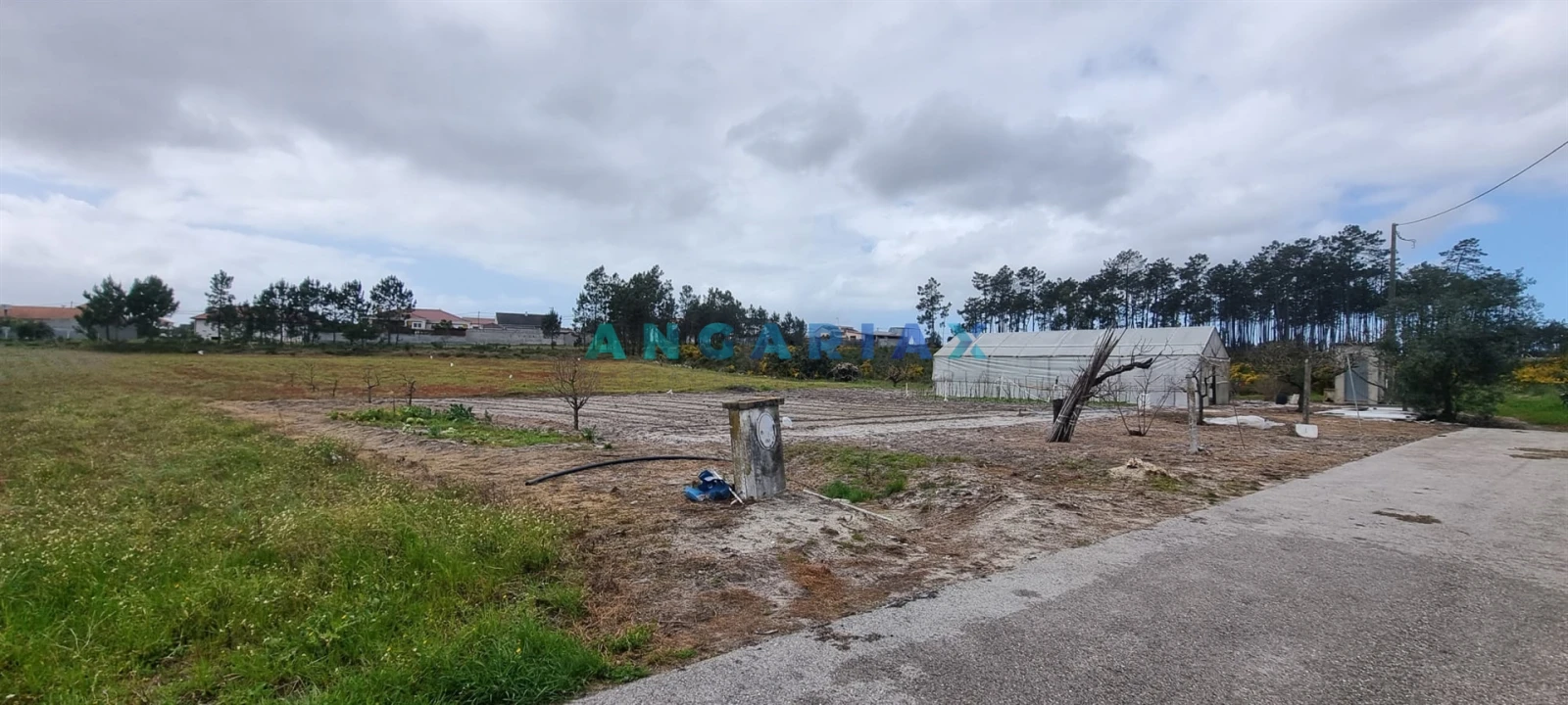 Terreno para Venda em Monte Redondo e Carreira Foto 5