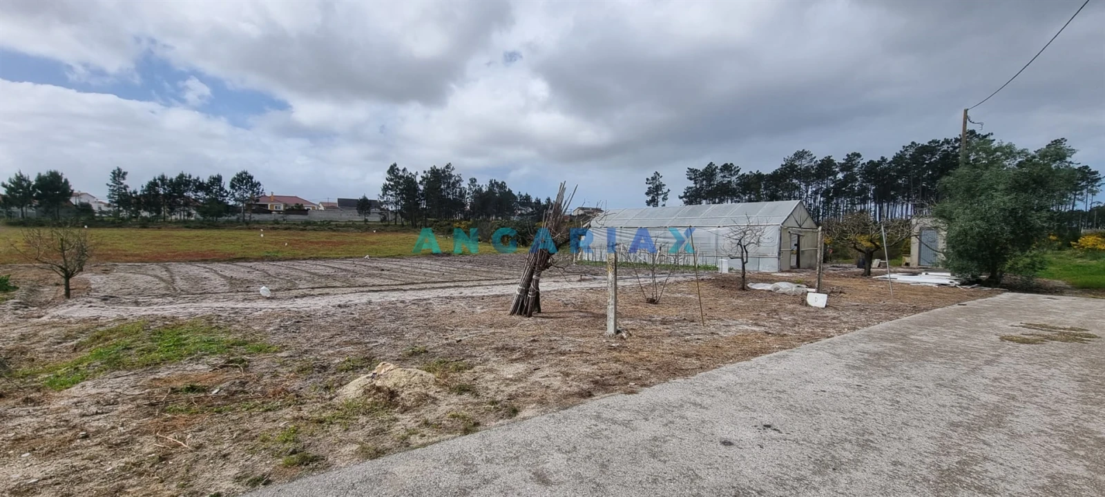 Terreno para Venda em Monte Redondo e Carreira Foto 16