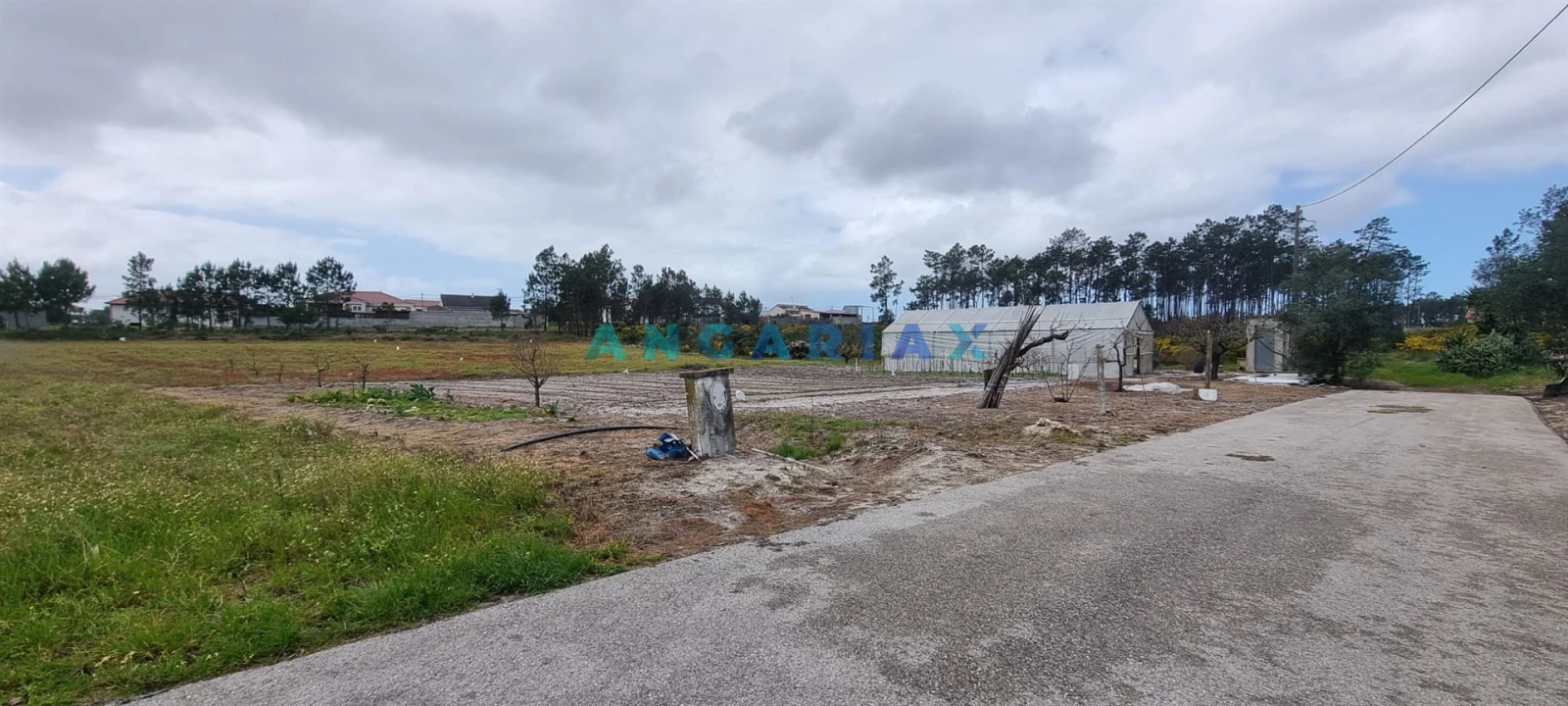 Terreno para Venda em Monte Redondo e Carreira Foto 11