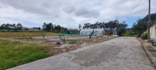 Terreno para Venda em Monte Redondo e Carreira