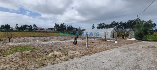 Terreno para Venda em Monte Redondo e Carreira