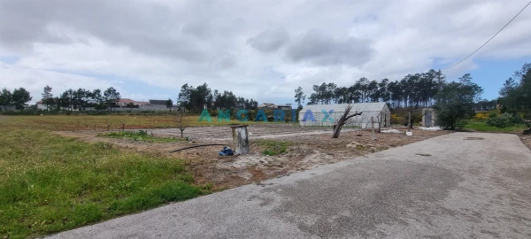 Terreno para Venda em Monte Redondo e Carreira