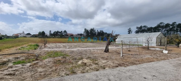 Terreno para Venda em Monte Redondo e Carreira