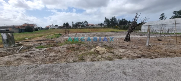 Terreno para Venda em Monte Redondo e Carreira