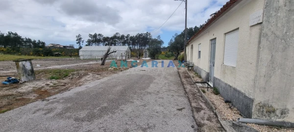Terreno para Venda em Monte Redondo e Carreira
