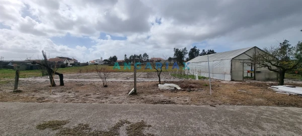 Terreno para Venda em Monte Redondo e Carreira