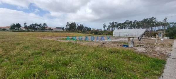 Terreno para Venda em Monte Redondo e Carreira