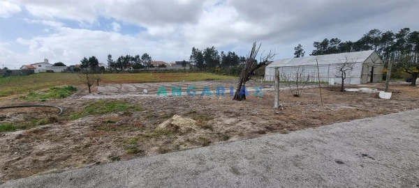 Terreno para Venda em Monte Redondo e Carreira